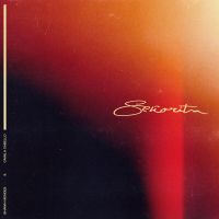 Shawn Mendes & Camila Cabello - Senorita