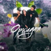 Gidayyat & Gazan - Орхидея