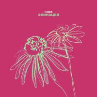 Homie - Эхинацея