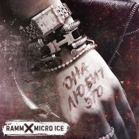 Влад Рамм & Micro-Ice - Она любит это