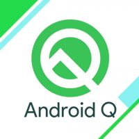 Android 10 Q - Flutterby