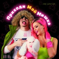 Ari Sam Vii - Приходи мой мишка