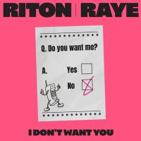 Riton feat. Raye - I Don't Want You