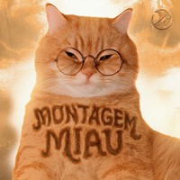 Lenar & Leonardo P - Montagem Miau (Slowed)